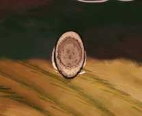 《饥荒》哈姆雷特新加工具有什么_哈姆雷特新加工具介绍