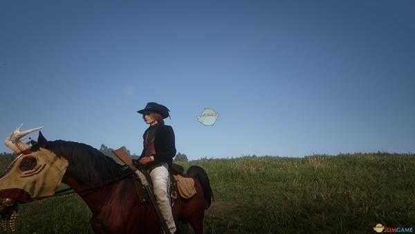 荒野大镖客2捏脸女