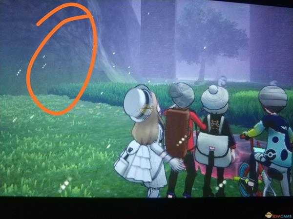 《宝可梦：剑/盾》高V百变怪位置分享