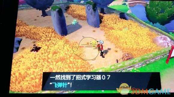 《宝可梦：剑/盾》招式学习器07飞弹针位置分享