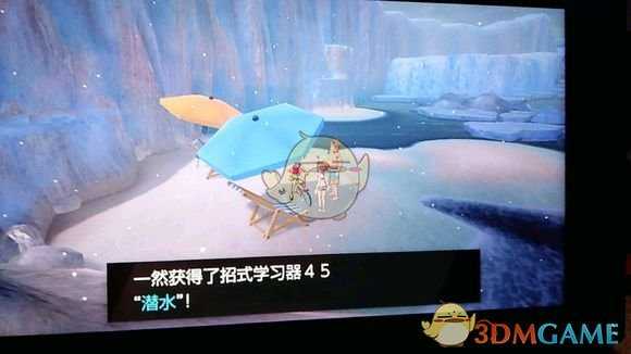 《宝可梦:剑/盾》招式学习器45潜水位置分享