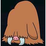 《宝可梦:剑/盾》长毛猪图鉴