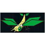 《宝可梦:剑/盾》超音波幼虫图鉴