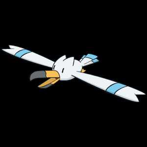 《宝可梦:剑/盾》长翅鸥图鉴