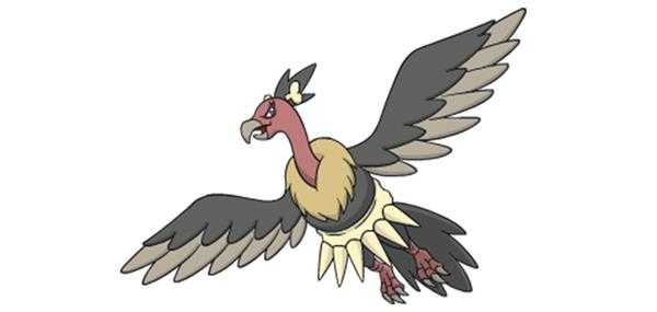 《宝可梦：剑/盾》秃鹰娜图鉴