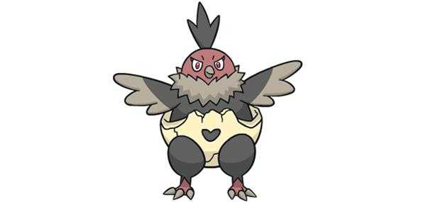 《宝可梦：剑/盾》秃鹰丫头图鉴