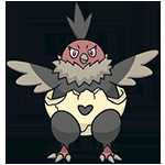 《宝可梦：剑/盾》秃鹰丫头图鉴