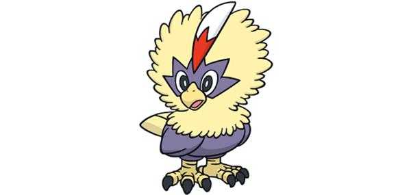 《宝可梦：剑/盾》毛头小鹰图鉴