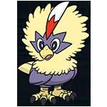 《宝可梦：剑/盾》毛头小鹰图鉴