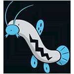 《宝可梦：剑/盾》泥泥鳅图鉴