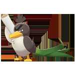 《宝可梦：剑/盾》大葱鸭图鉴