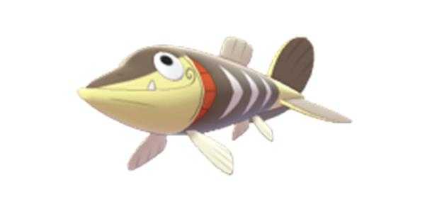 《宝可梦：剑/盾》刺梭鱼图鉴