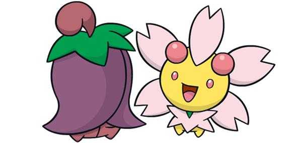 《宝可梦：剑/盾》樱花儿图鉴