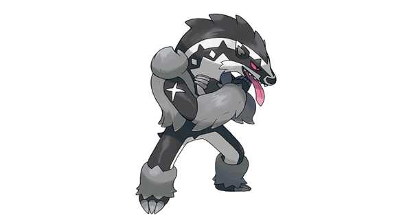 《宝可梦:剑/盾》堵拦熊双打配招