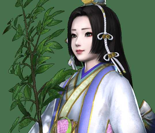 《无双大蛇3》辉夜姬使用技巧分享