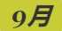 《集合啦！动物森友会》兰花螳螂图鉴