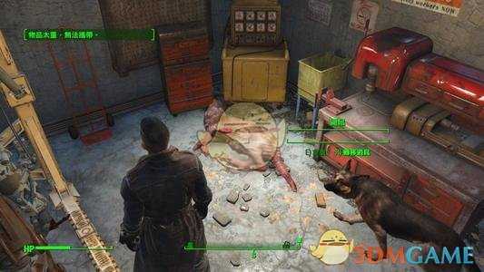 《辐射4》【各种飞虫】代码大全一览