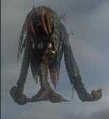 《最后的神迹》皇帝草位置攻略