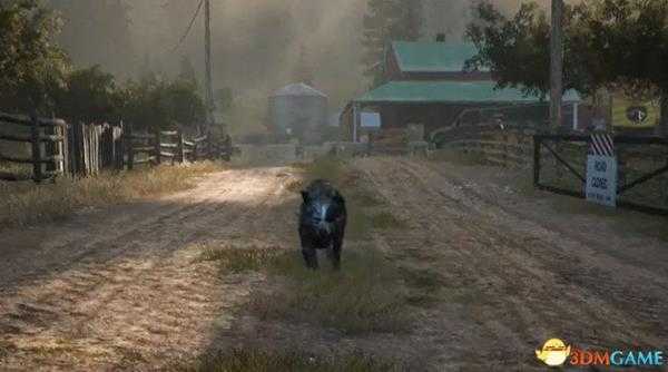 孤岛惊魂5全酒桶位置 孤岛惊魂5全威士忌河任务收集