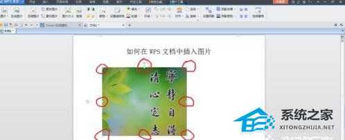 WPS文字导入图片后排版混乱怎么办?