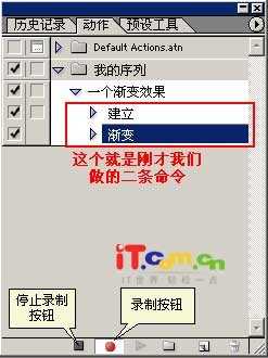 Photoshop入门:动作(Action)安装和使用