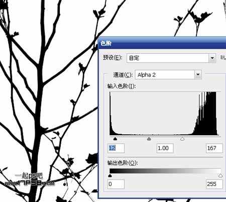 Photoshop抠图教程:通道和计算命令抠图实例