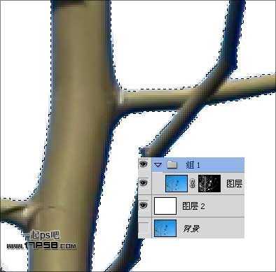 Photoshop抠图教程:通道和计算命令抠图实例