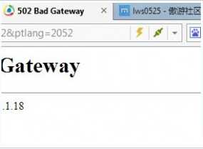 502 bad gateway是什么意思？502 bad gateway错误解决办法