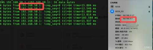 Solopace.Gem V0.0.6 免费内网穿透组网工具,支持P2P和中继