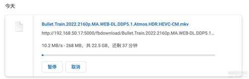 Solopace.Gem V0.0.6 免费内网穿透组网工具,支持P2P和中继