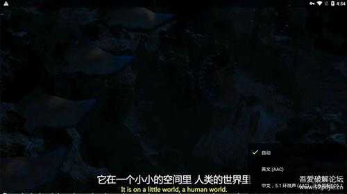 Nova.Video.Player.v6.2.13 不要NAS不要 KODI,安卓电视打造完美电影墙